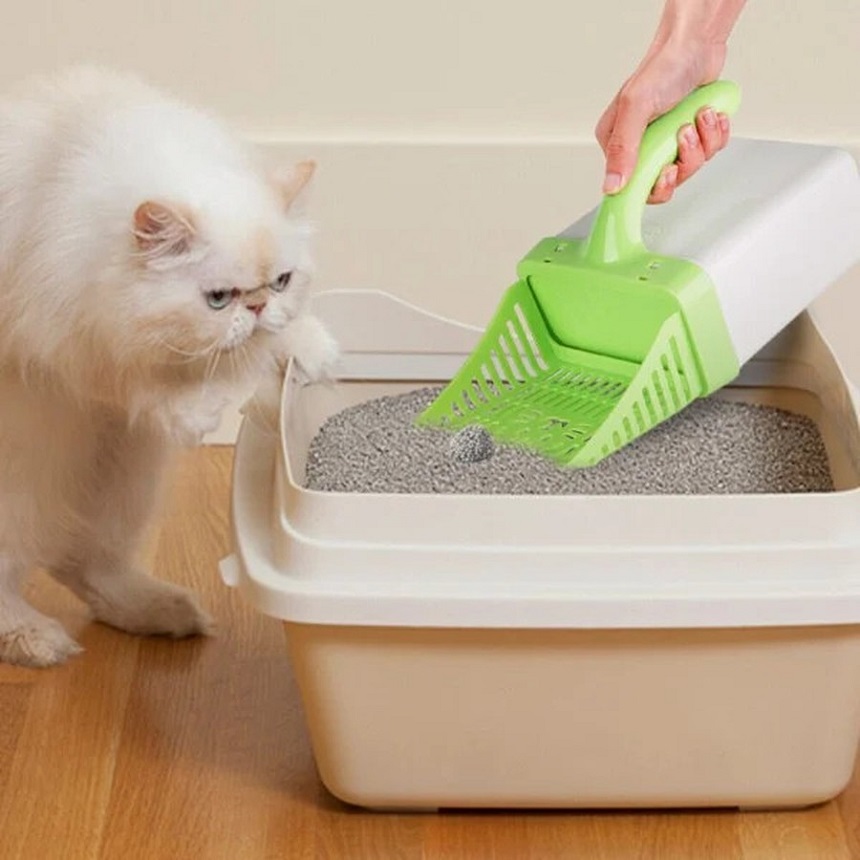 khay cát vệ sinh cho mèo
